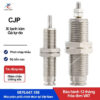 CJPD8-10 Xi lanh compact Xingchen (CJPD8-10)